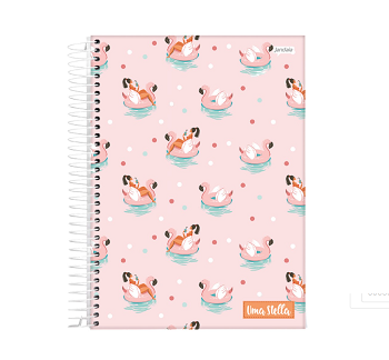 Caderno Universitário Stella 20 matérias 320 Fls- Jandaia