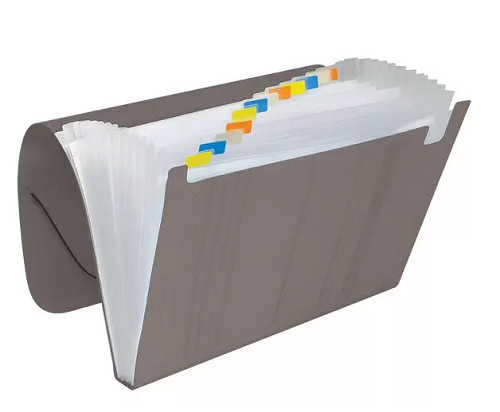 Pasta Sanfonada A4 com 12 Divisões ACP